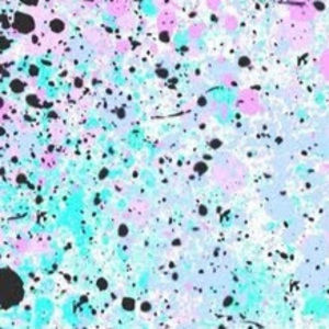 Meet your Posher, Ruthie